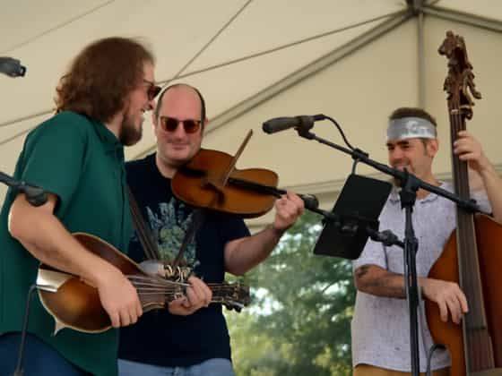 Shakedown Strings